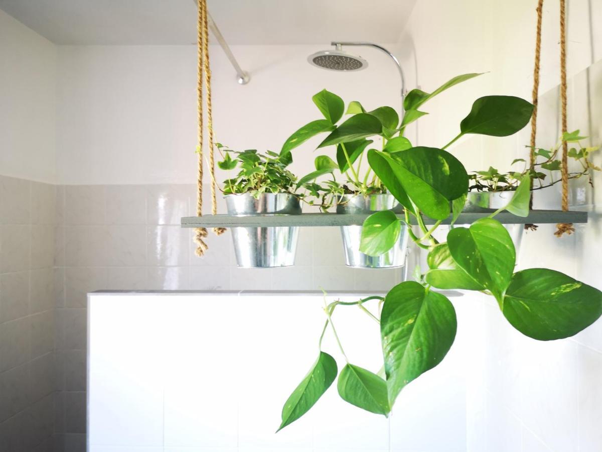 Apartman Apartma Premrlova *
